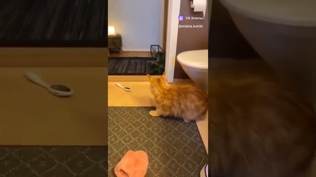 1000186507.mp4
