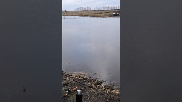 рыбалка