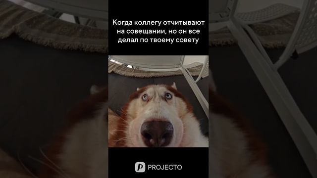 Избегать взгляда коллеги до конца совещания ✅