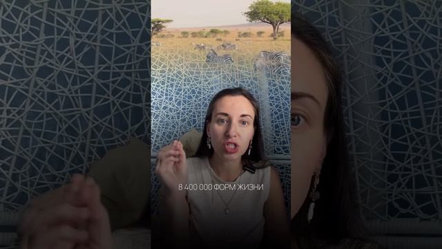 Все в этом мире создано кем-то: от вещей, до самого мироздания🌎