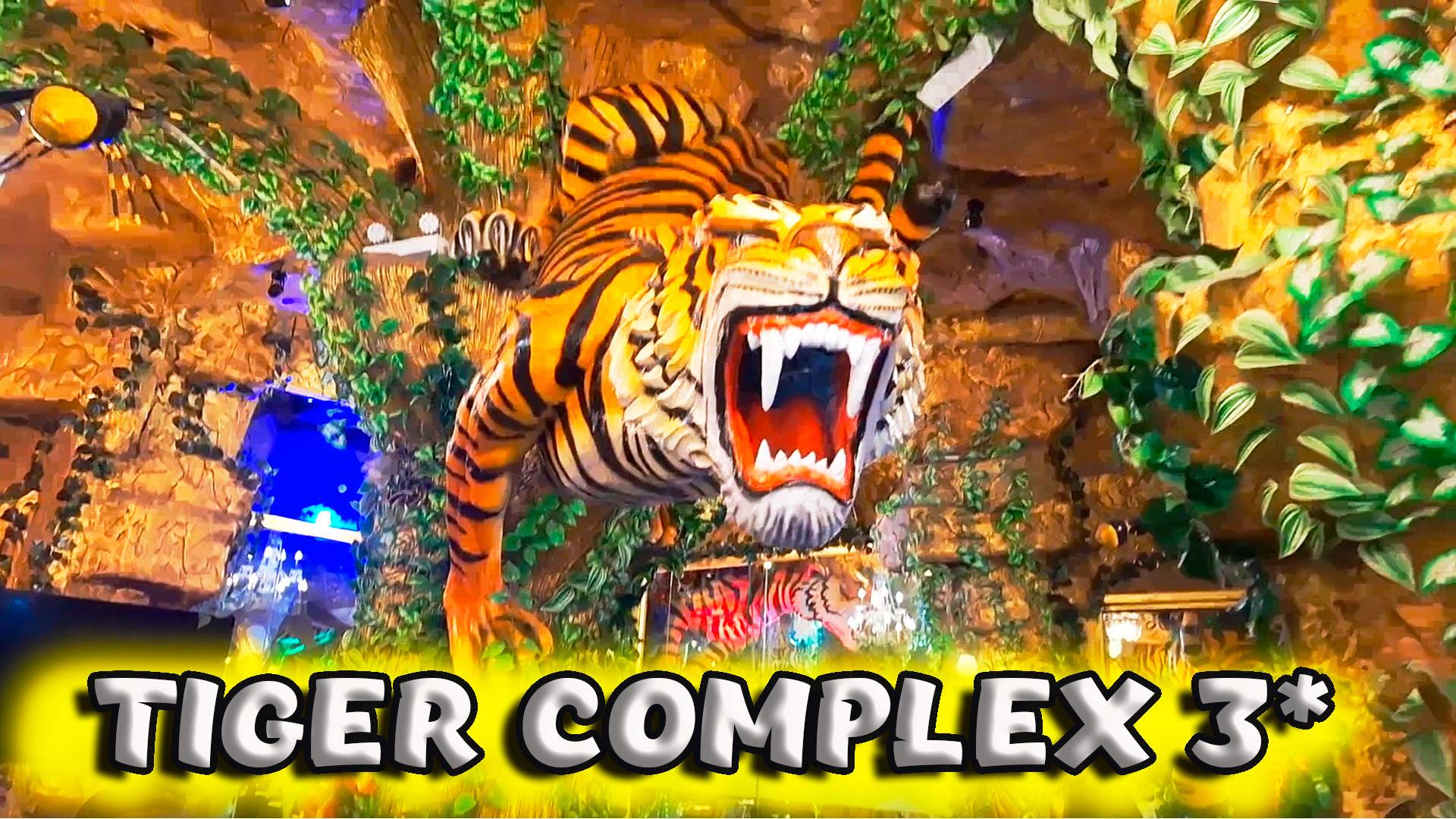 Отель Tiger complex hotel 3* 🐯 Обзор номера. Стоимость перелёта и гостиницы✈️