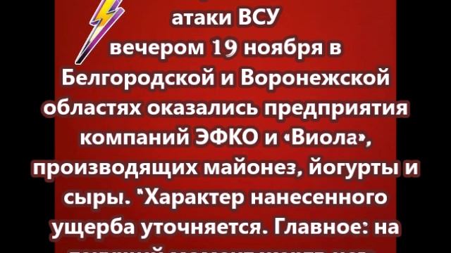 Целью атак ВСУ под Белгородом и Воронежем стали производители  сыров и майонеза