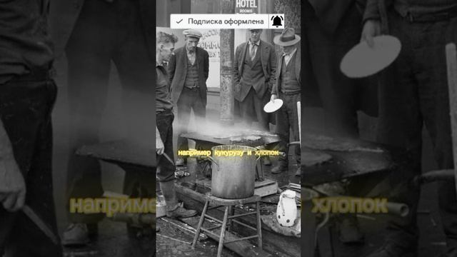 Великая депрессия #shorts #shortvideo #история #history #великаядепрессия