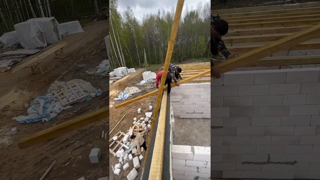 16 мая 2024 г.
