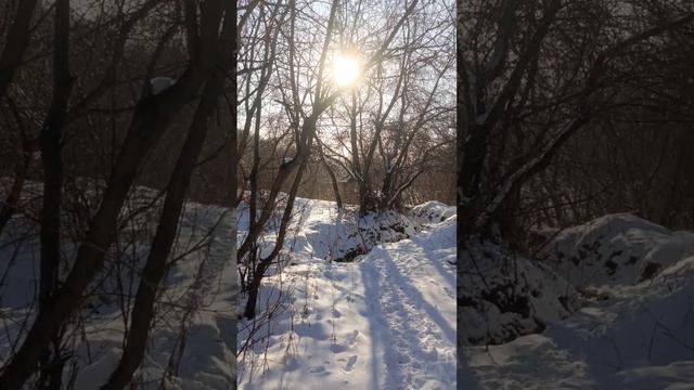 прогулка