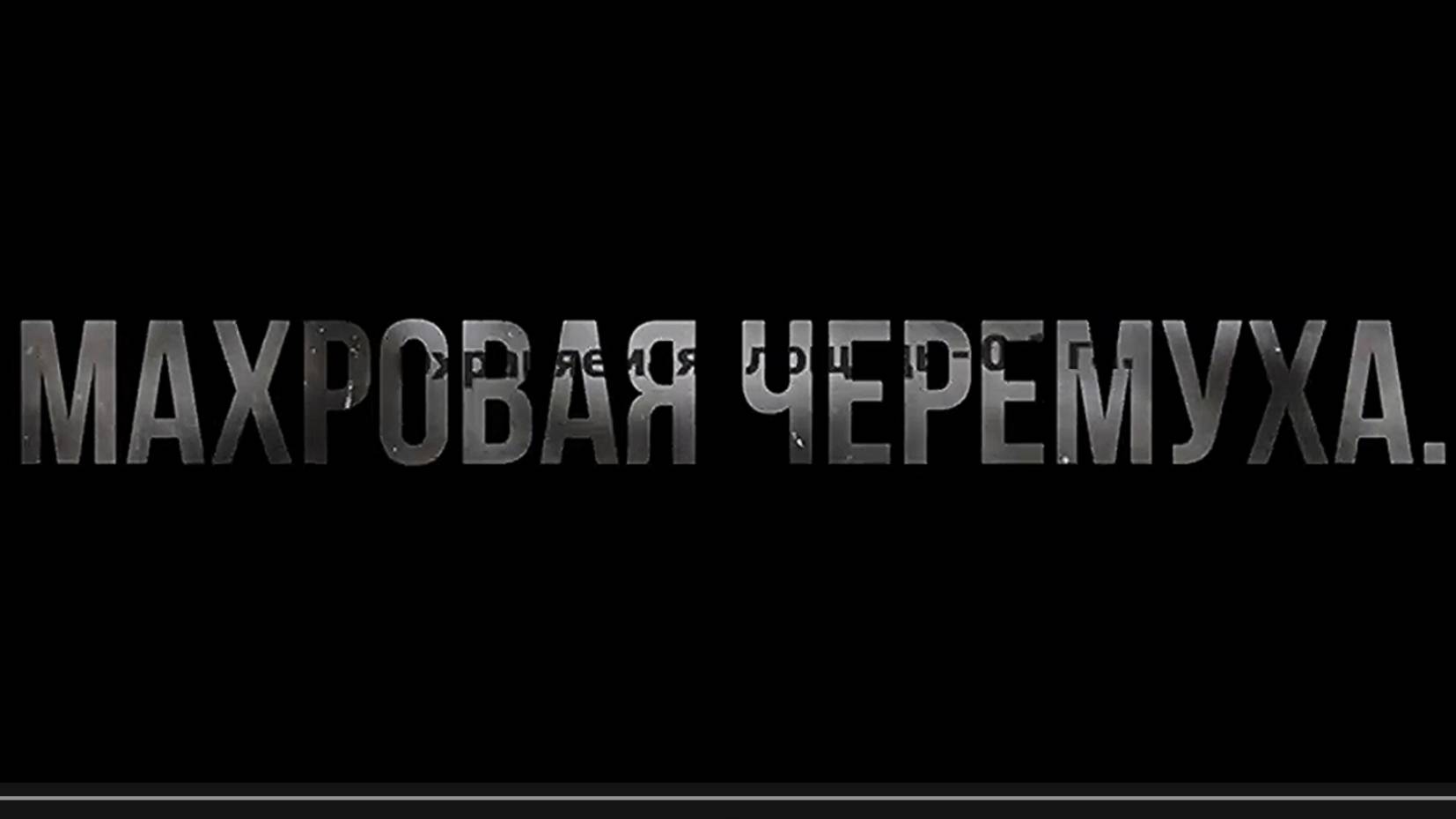 село Бобино. Махровая черёмуха. Слободской район. Вятка.