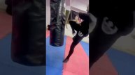 живая боксерская груша