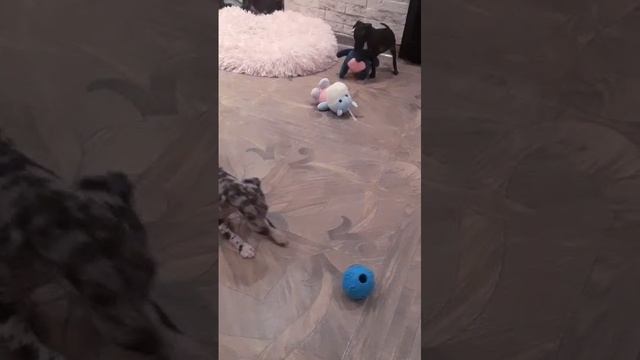 1000016042.mp4