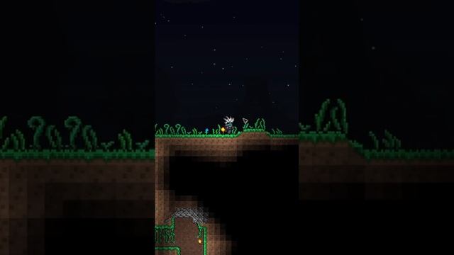 Terraria На белку можно рыбачить