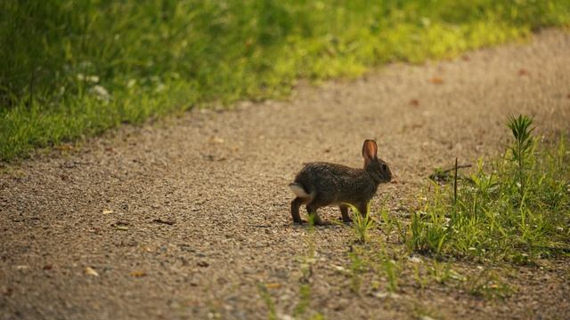 13832799-uhd_3840_2160_30fps