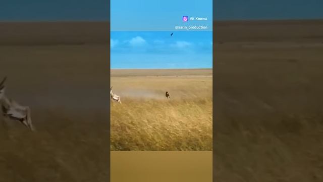 1000186527.mp4