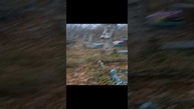 1000008965.mp4