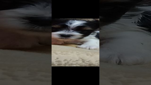 1000113557.mp4