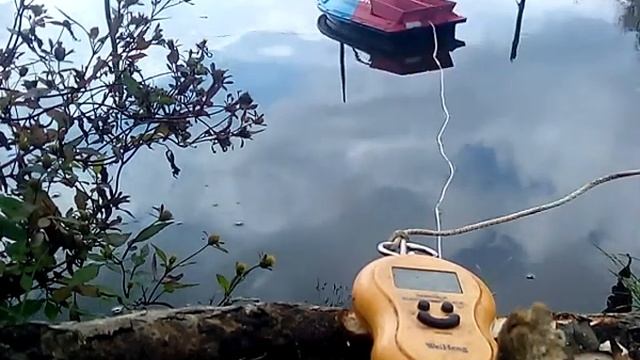 Прикормочный кораблик Flytec. Замер тяги винтов.