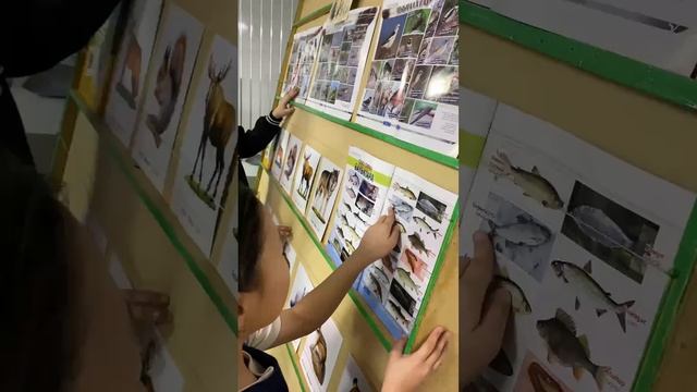 Баай барыылаах БАЙАНАЙ