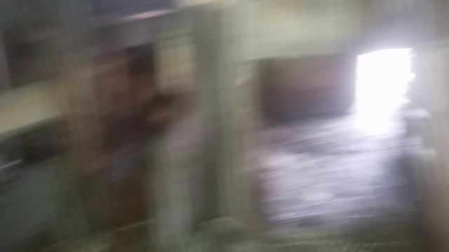 Буйный бык на откорме