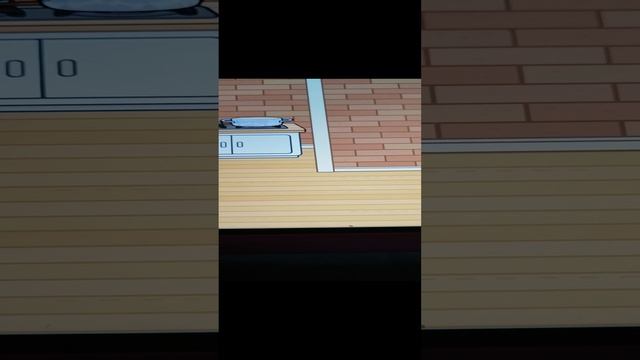VID_20241120_170032.mp4