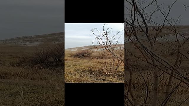 VID_20241118_121129.mp4