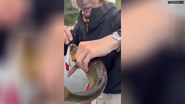на спиннинг