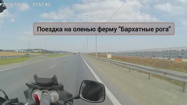 Оленья ферма "Бархатные рога"