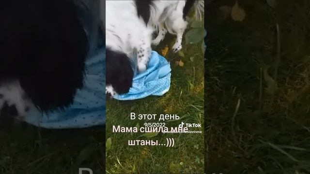 Мама сшила мне штаны...)))