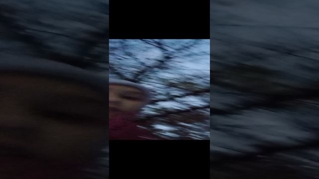 новость