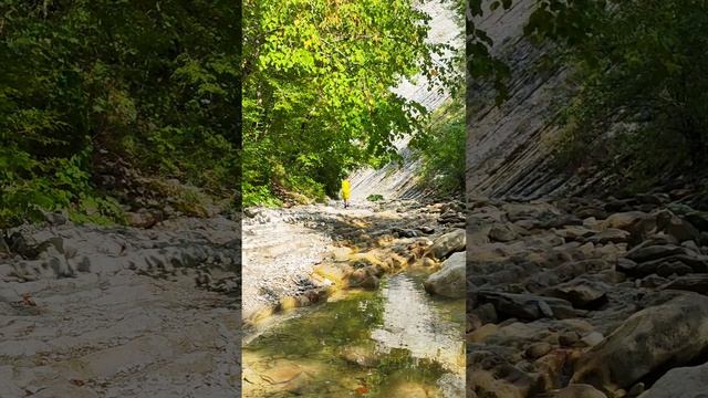 кто водится в реке Куаго #природа #рыба #рыбалка #КраснодарскийКрай