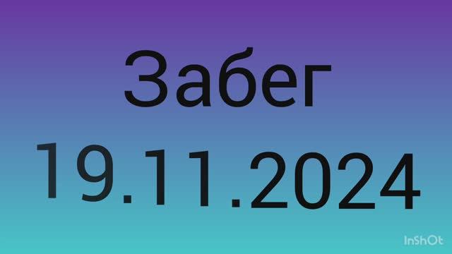 Забег 19.11.2024