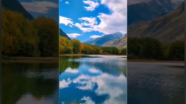 YouCut_20241020_164536960.mp4