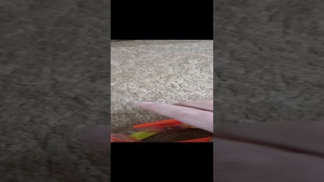 1000001283.mp4