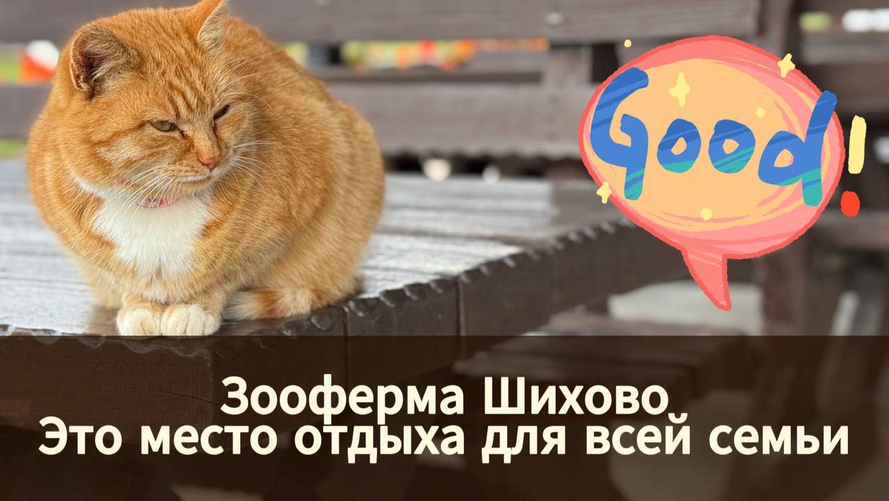 Зооферма Шихово - Обзор на место отдыха для всей семьи.