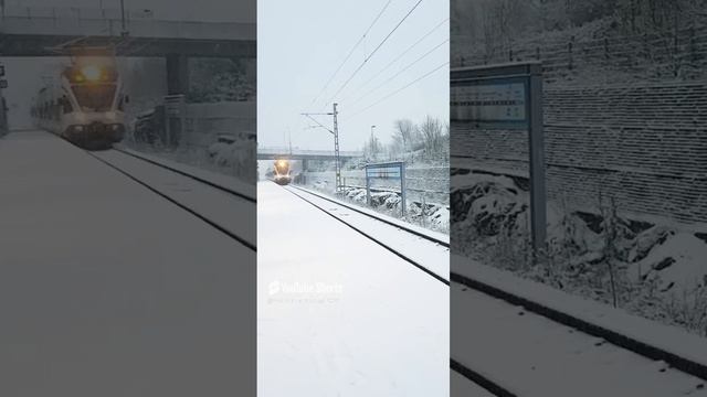 20 ноября 2024 г. Снова зима! Вантаа (конгломерат Хельсинки, Большой Хельсинки)