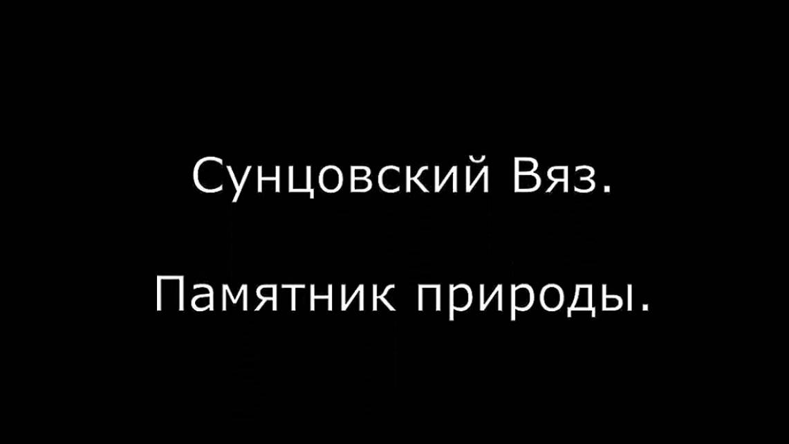 Сунцовский вяз. Памятник природы. Слободской район. Вятка.