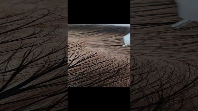 1000028497.mp4