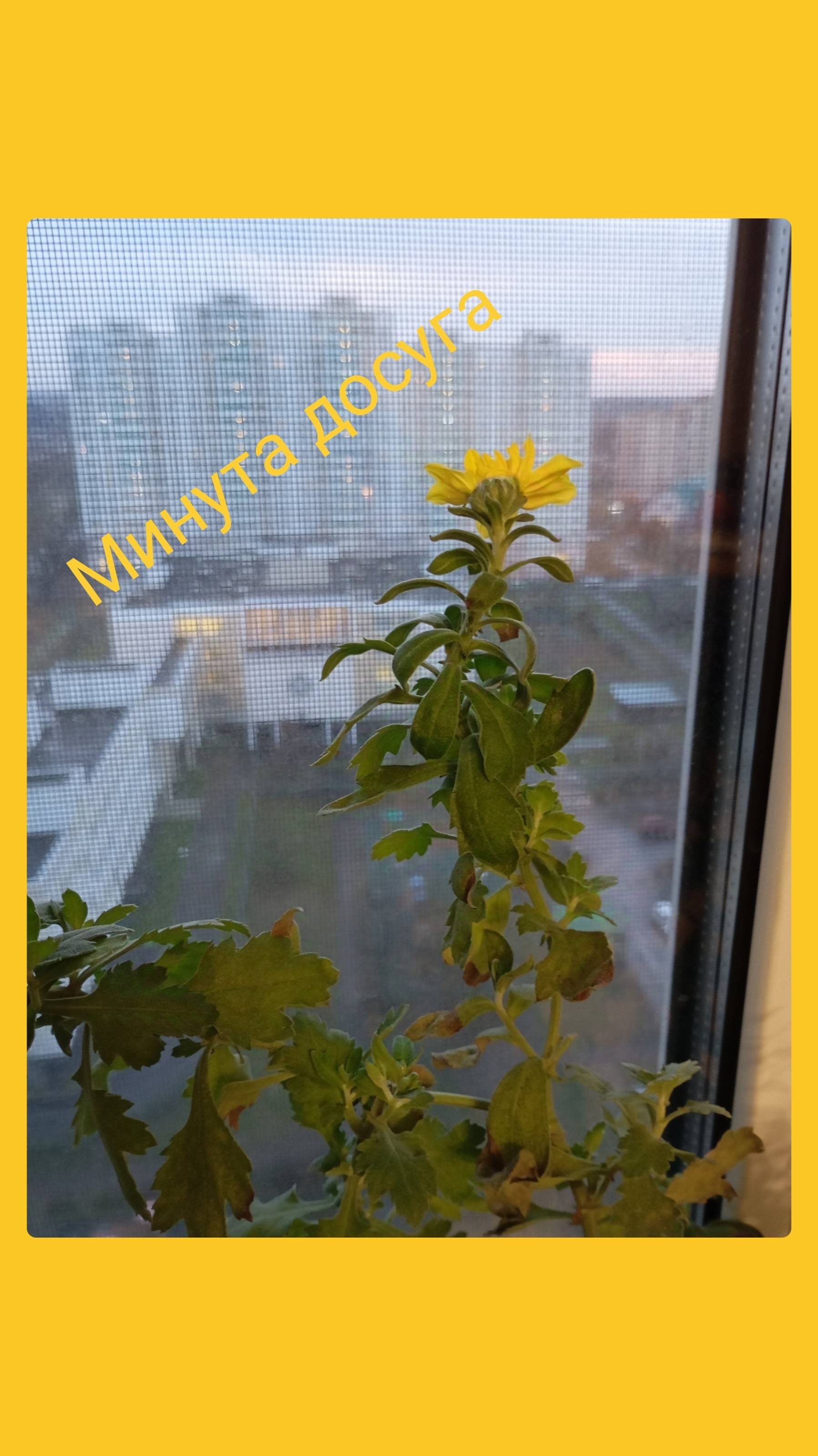 Минутка досуга