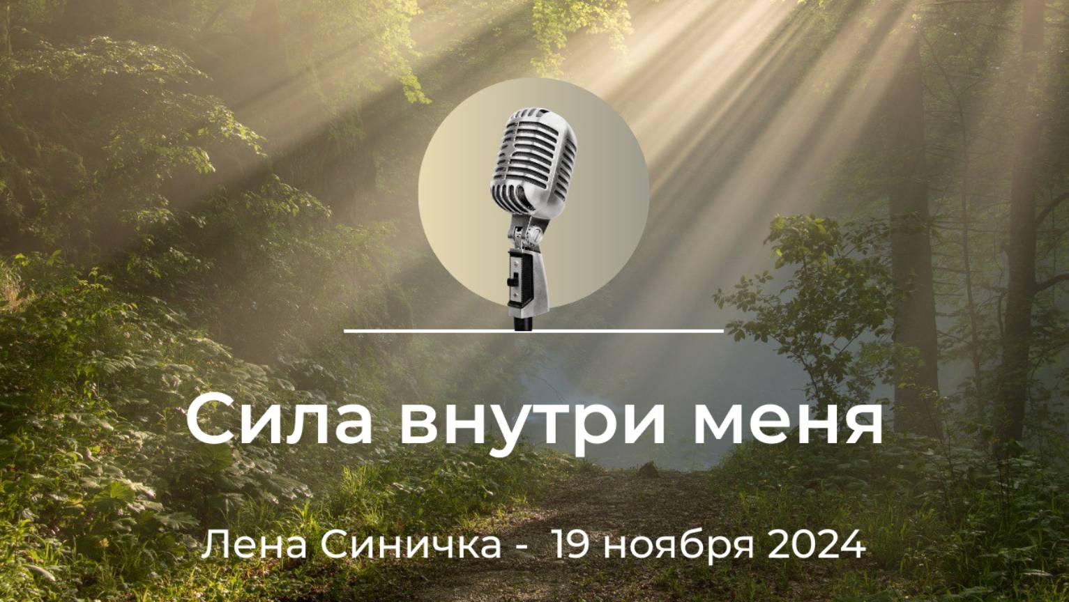 Спикерская АНЗ "Сила внутри меня" Лена Синичка, 19 ноября 2024 года