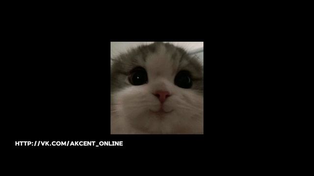 Скриптонит - Это Любовь ( speed up ) ( GLOBAL FF )