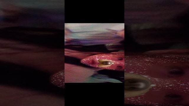 Snapchat-1972610258.mp4