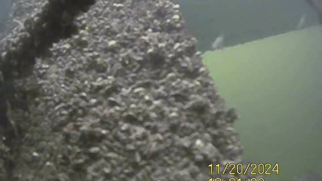 1000033142.mp4Волга гл.5м.20.11.2024г.