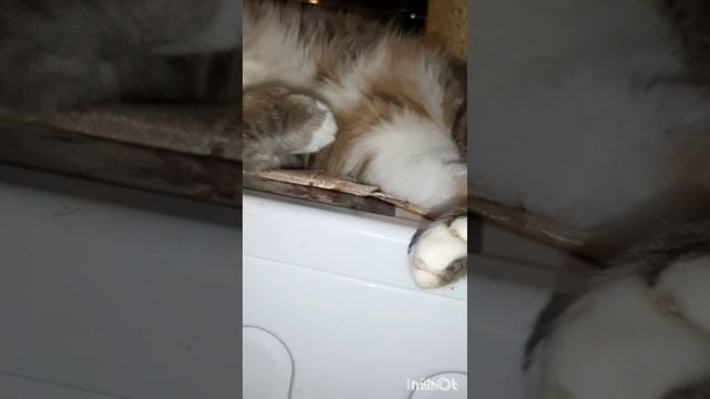 ПроПочинку.Бойлер Аристон.Замена тэна.Фильм2.Серия3.Часть1 .mp4
