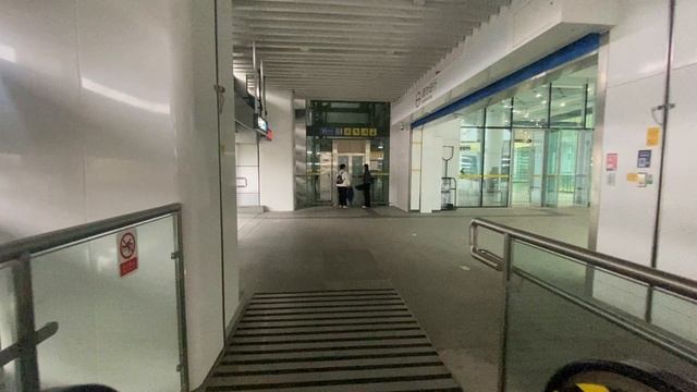 Шэньчжэнь #3 Shenzhen 11.2024 Пляж Dameisha в 1 минуте от метро. Скульптуры из песка. Отель Hampton