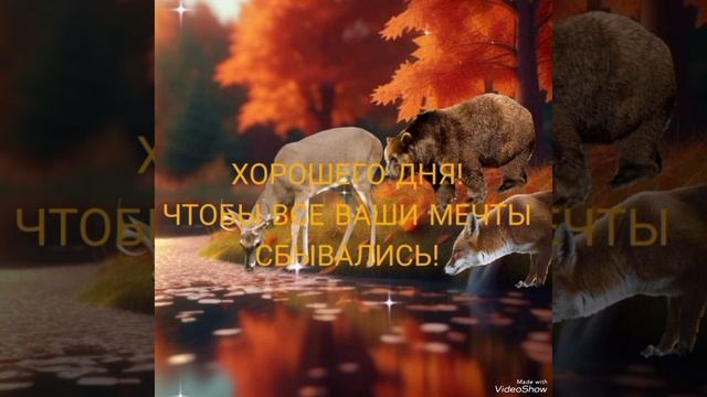 с последним месяцем осени! автор @Daria Game.