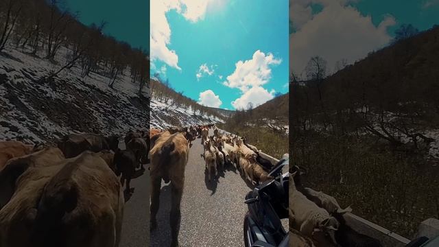 Приэльбрусье Джилы Су май