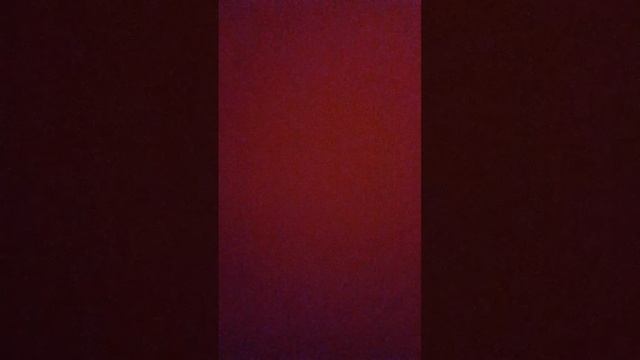 scene_output.mp4