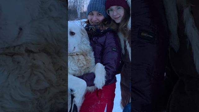 Семейная прогулка с любимой собакой! Прекрасные воспоминания.