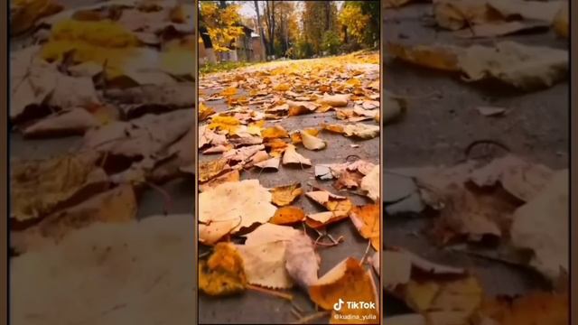 YouCut_20240919_070602043.mp4