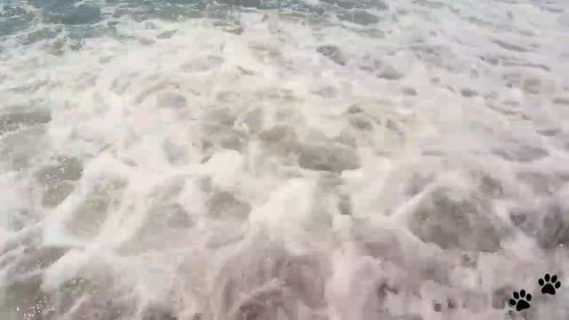 Шикарные волны недалеко от Якорной щели.