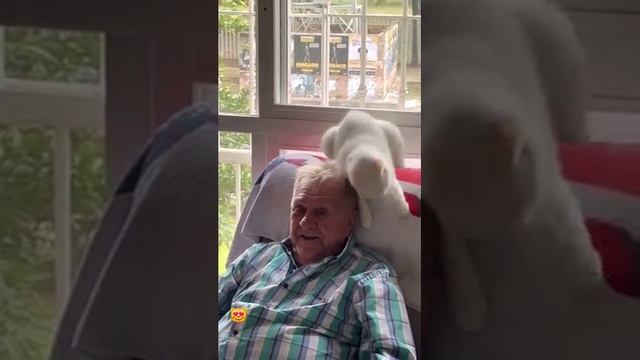 Батя: В нашем доме кота не будет! 
Так же батя, когда в доме появляется кот