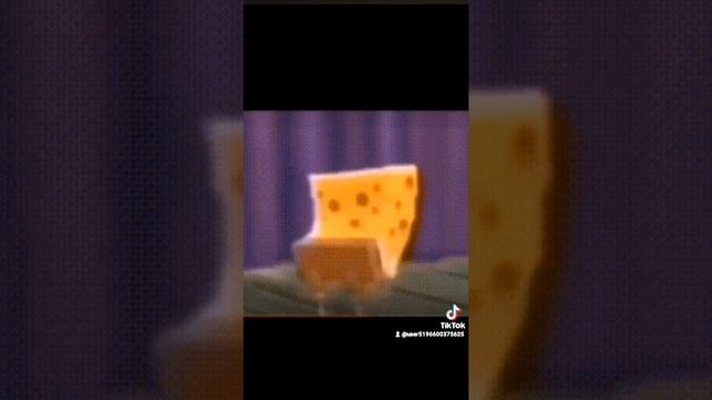 1000005065.mp4