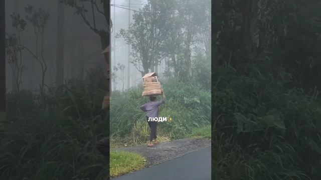 Оставайся, здесь уютный лайфстайл и путешествия